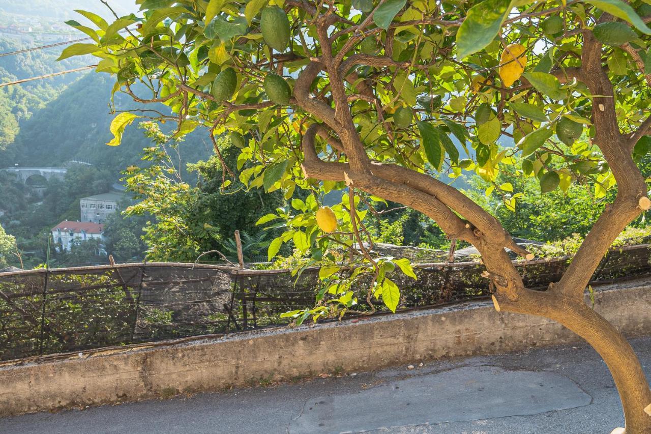 Tra Sole E Limoni Apartments ترامونتي المظهر الخارجي الصورة